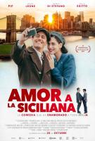 In guerra per amore  - Posters