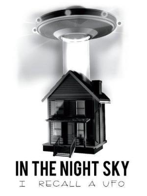 In the Night Sky: I Recall a UFO 