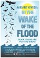In the Wake of the Flood 