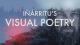 Iñárritu's Visual Poetry (C)