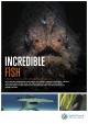 Incredible Fish (TV)