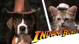 Indiana Bones and the Raiders of the Lost Bark (S) (S)