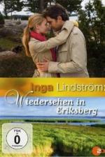 Inga Lindström: Wiedersehen in Eriksberg (TV)