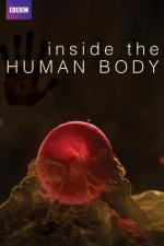 En el interior del cuerpo humano (Serie de TV)
