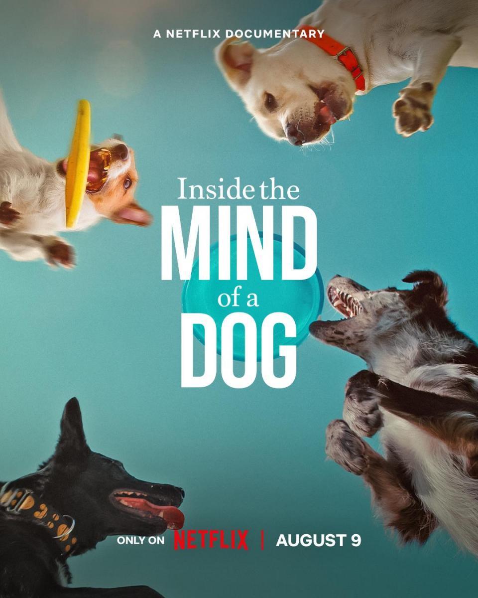 Inside the Mind of a Dog (2024) FilmAffinity