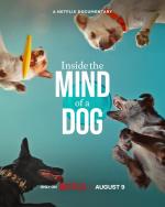 Inside the Mind of a Dog 