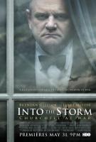En la tormenta (TV) - Poster / Imagen Principal