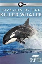Invasion of the Killer Whales (TV)
