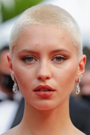 Iris Law