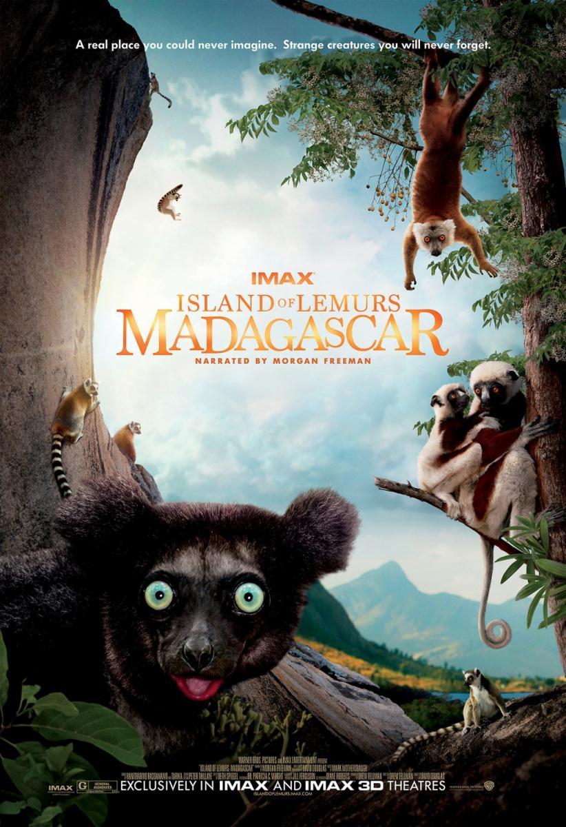 Island of Lemurs: Madagascar  - Poster / Imagen Principal