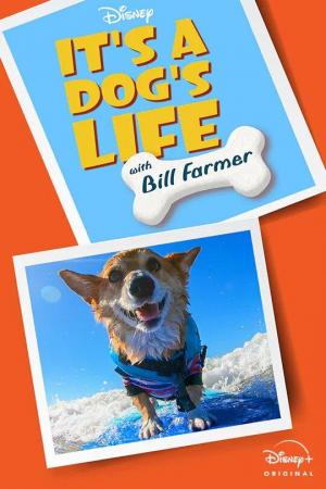 Una vida de perros con Bill Farmer (Serie de TV)