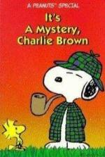 Es un misterio, Charlie Brown (TV)