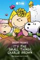 Snoopy Presents: It’s the Small Things, Charlie Brown (TV)