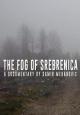 The Fog of Srebrenica 