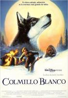 White Fang  - Posters