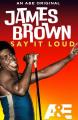 James Brown: Say It Loud (TV Series)