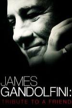 James Gandolfini: Tribute To A Friend (TV)