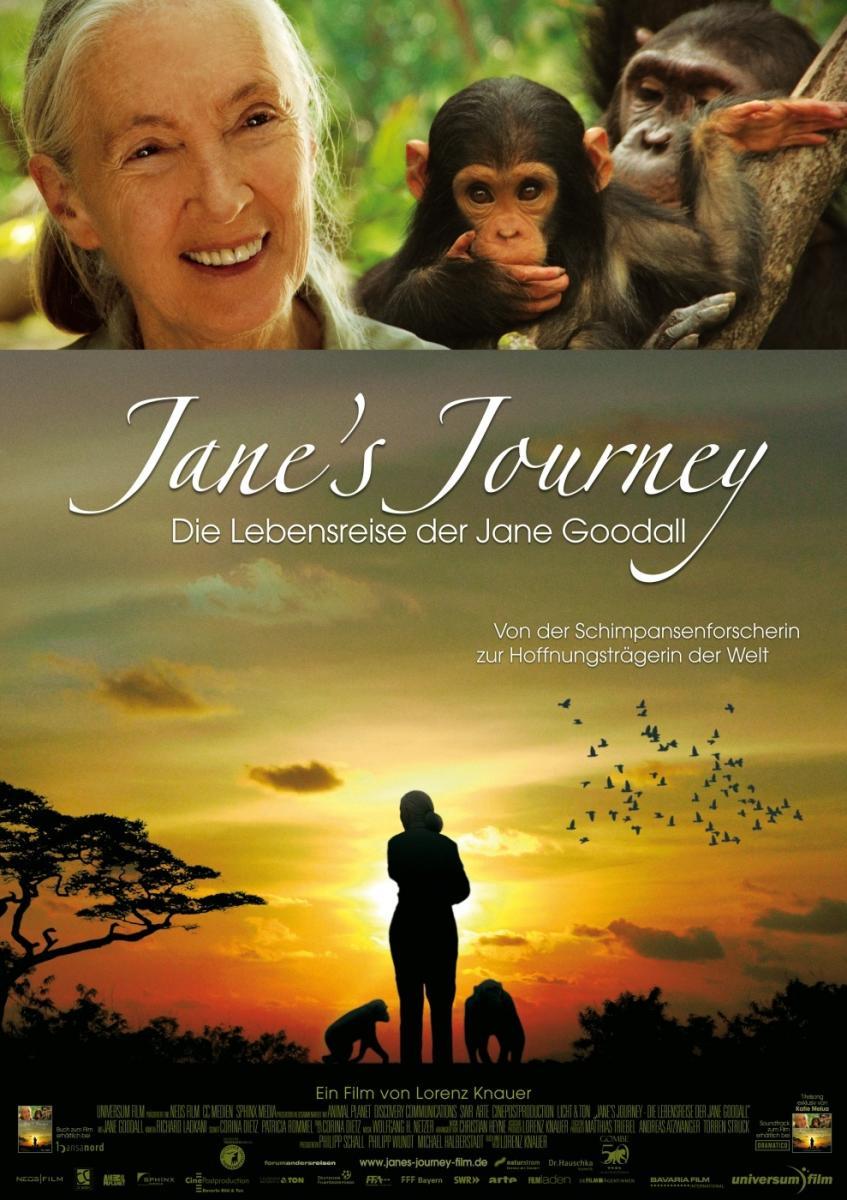 jane's journey home for dogs
