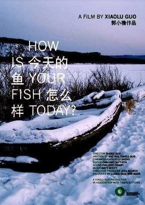 How Is Your Fish Today? 