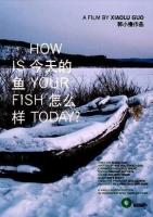 How Is Your Fish Today?  - 