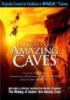 Journey Into Amazing Caves 