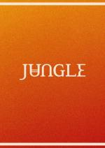 Jungle feat. Erick The Architect: Candle Flame (Music Video)