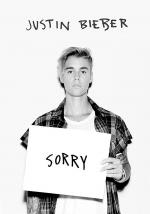 Justin Bieber: Sorry (Purpose: The Movement) (Vídeo musical)