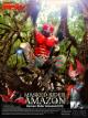 Kamen Rider Amazon (TV Series)