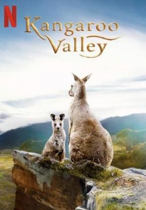 El valle de los canguros 