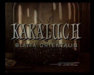 Karaluch. Blatta orientalis (S)