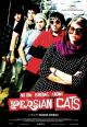 Nadie sabe nada de gatos persas 
