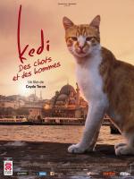 Kedi (Gatos de Estambul)  - Posters