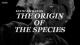 Keith Richards: El origen de las especies 