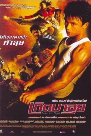 Born to Fight (2004) - IMDb