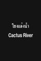 Cactus River (C)