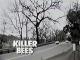 Killer Bees (TV) (TV)