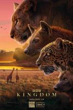Kingdom (Miniserie de TV)