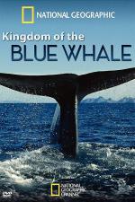 Kingdom of the Blue Whale (TV)