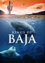 Los reyes de Baja 