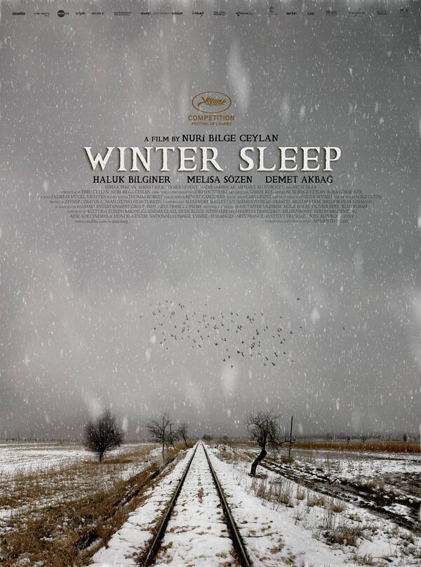 Sueño de invierno  - Posters