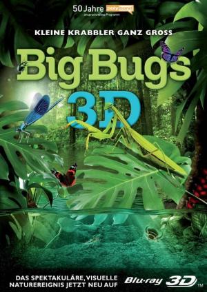 Big Bugs 3D 