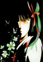 Vampire Princess Miyu (TV) - Poster / Imagen Principal