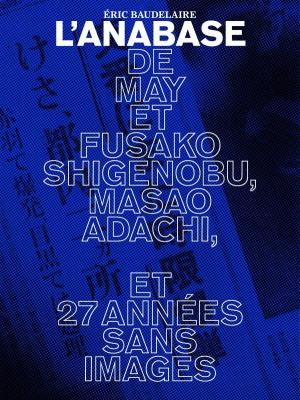 The Anabasis of May and Fusako Shigenobu, Masao Adachi, and 27 Years without Im 