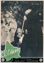 L'edera