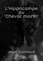 L'Hippocampe, ou 'Cheval marin' (C) - Poster / Imagen Principal
