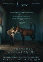 La anatomía de los caballos 