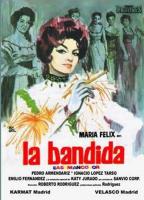 The Bandit  - Poster / Main Image