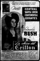 La chica del Crillón  - Poster / Imagen Principal