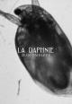 La daphnie (S)
