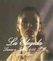 La elegida (Serie de TV) - Poster / Imagen Principal